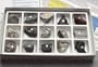 SciEd Igneous Rock Collection; 1/pk