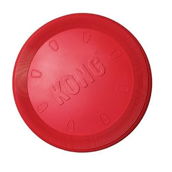 Set A Shopping Price Drop Alert For Kong Rubber Flyer, Large