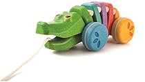 PlanToys 1416 Rainbow Alligator Baby Toy
