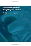 Translation practices : through language to culture