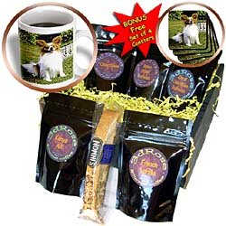 Dogs Papillon - Papillon - Coffee Gift Baskets - Coffee Gift Basket by 3dRose LLC