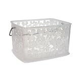 Blumz Plastic Storage Basket - Clear - Small by InterDesign, Inc