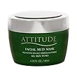 Revitalizing and Purifying Facial Mud Mask - 6 Oz by Attitude line