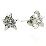 CZ Diamond Stud Round Post Earrings Stainless Steel 316L 5.5 mm Hypoallergenic by Bucasi FREE Shipping