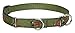 LupinePet 3/4-Inch Fly Away 10-14-Inch Martingale Combo Collar for Small to Medium Dogs