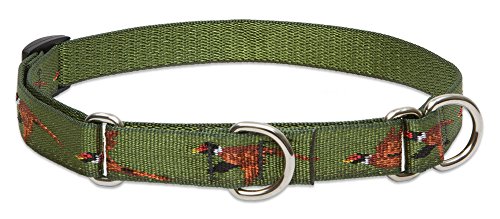LupinePet 3/4-Inch Fly Away 10-14-Inch Martingale Combo Collar for Small to Medium Dogs
