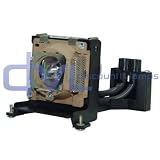 Projector Lamp for BenQ PB8220 250-Watt 2000-Hrs UHP