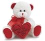 White & Red "Happy Valentine's Day" Plush Teddy Bear Stuffed Animal Gift