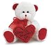White & Red "Happy Valentine's Day" Plush Teddy Bear Stuffed Animal Gift