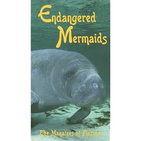 Endangered Mermaids The Manatees of Florida [VHS]