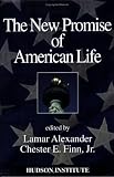 The New Promise of American Life