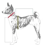 Dog Dress - Red with Black Lace Flamenco Dog Dress - XX-Small - (XXS)