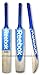 Reebok Big Six English Willow Cricket Bat, Short Handle