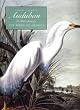 John James Audubon: Watercolours for the "Birds of America" (Ornithology)