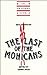 Search : New Essays on The Last of the Mohicans (The American Novel)