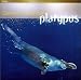Platypus