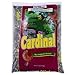 Red River Commodities 738 Valley Splendor Cardinal Seed