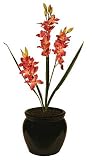 Review i-koncepts Ltd  / 70cm Deep Pink Triple Stem Orchid Cymbidium - Artificial Flower
