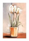 White Tulips, Fine Art Print by Vitor Vivaldi, 19.75x27.5