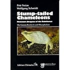 Stump-tailed Chameleons: Miniature Dragons of the Rainforest by