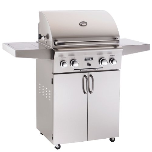 American Outdoor Grill Portable Series 24NC-00SP CC24, Size: 24