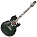 Takamine DMP181AC SGS ���쥢��