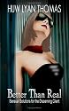Better than Real: Sensual Solutions for the Discerning Client