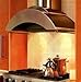 ZTH-248 SS Stainless Steel Wall Mount Range Hood with 600 CFM Internal Blower Halogen Lighting Gla