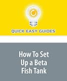 How To Set Up a Beta Fish Tank