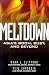 Meltdown:Asias Spectacular...