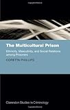 The multicultural prison : ethnicity, masculinity, and social relations among prisoners