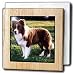 Dogs Border Collie - Border Collie Tan and White - Tile Napkin Holders