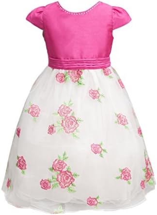 Shamila Girl's Round Neck Contrast Color Mesh Roses Cap Sleeves Dress Rose Red Size 8