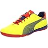 PUMA Evospeed 1 Sala Soccer Shoe