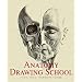 Anatomy Drawing School