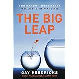 the big leap conquer your hidden fear and take life to the next level