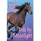 Best horse Books 4 Teenagers and youngsters