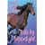 Ride by Moonlight (Sandy Lane Stables)