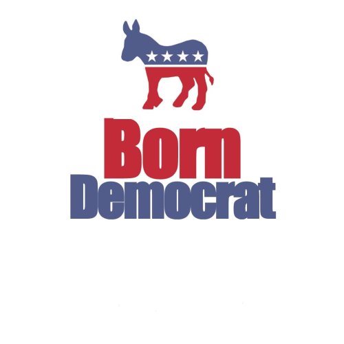 Born Democrat Bib