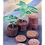 48 Netted Round Burpee Peat Pellets - Plant Pot & All