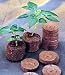 48 Netted Round Burpee Peat Pellets - Plant Pot & All