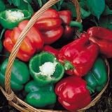 Pepper Seeds - Pepper Park's Early Thickset Hybrid Improved
