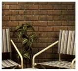 Buy Z-Brick #ZC018205 TN20Wheat Brick Facing by ZYGROVE CORP/Z-BRICK BRANDS