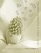 Organic Chemistry, Student Study Guide and Student Solutions Manual Cover