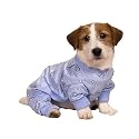 Dream Dog Pajamas - Blue