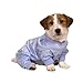   - Dream Dog Pajamas - Blue