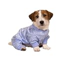 Dream Dog Pajamas - Blue