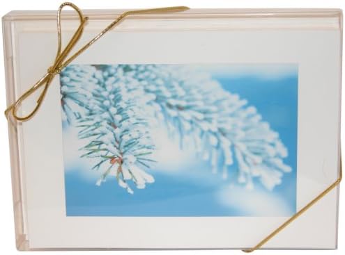 NW Pitney Ink Calm and Bright Boxed Christmas Holiday Cards, 7 x 5 Inches, 6-Count (1226LBS)
