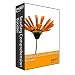 Reading Comprehension Booster Software (For 3rd, 4th and 5th Grade) with Personalized Feedback and Built-in Student Progress Reporting - Home Version
