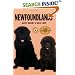 Newfoundlands